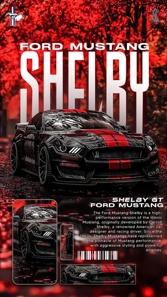 Ford Mustang Shelby